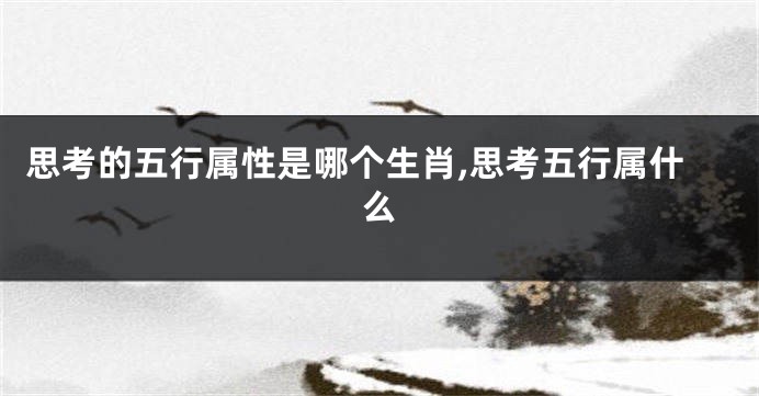 思考的五行属性是哪个生肖,思考五行属什么