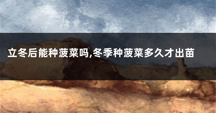 立冬后能种菠菜吗,冬季种菠菜多久才出苗