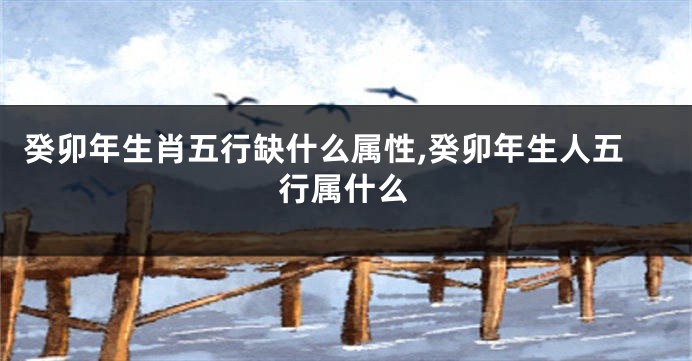 癸卯年生肖五行缺什么属性,癸卯年生人五行属什么