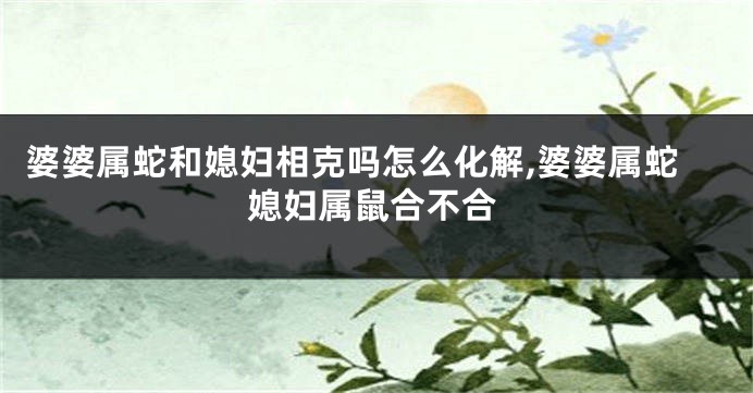 婆婆属蛇和媳妇相克吗怎么化解,婆婆属蛇媳妇属鼠合不合