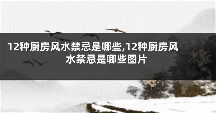 12种厨房风水禁忌是哪些,12种厨房风水禁忌是哪些图片