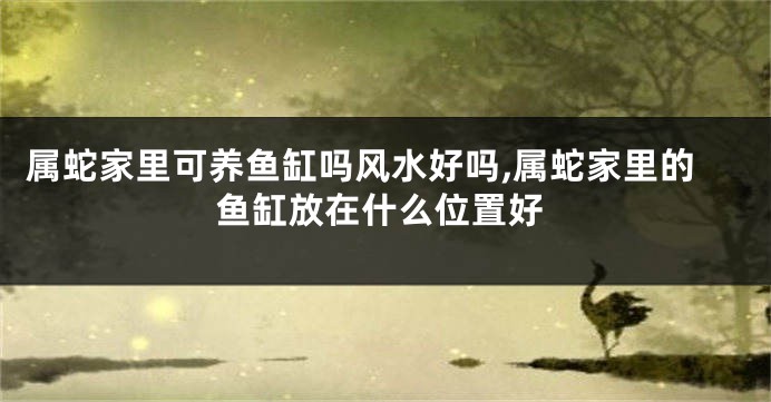 属蛇家里可养鱼缸吗风水好吗,属蛇家里的鱼缸放在什么位置好