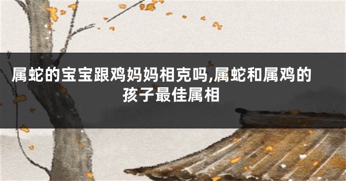 属蛇的宝宝跟鸡妈妈相克吗,属蛇和属鸡的孩子最佳属相
