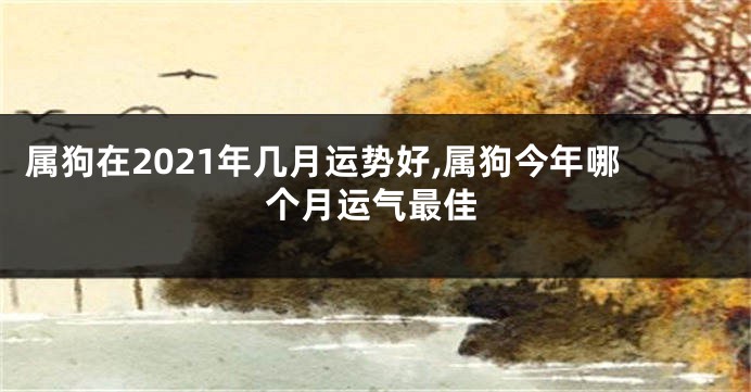 属狗在2021年几月运势好,属狗今年哪个月运气最佳