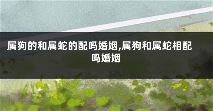 属狗的和属蛇的配吗婚姻,属狗和属蛇相配吗婚姻