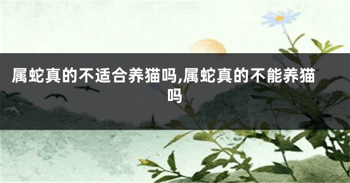 属蛇真的不适合养猫吗,属蛇真的不能养猫吗