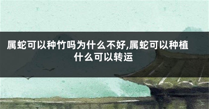 属蛇可以种竹吗为什么不好,属蛇可以种植什么可以转运