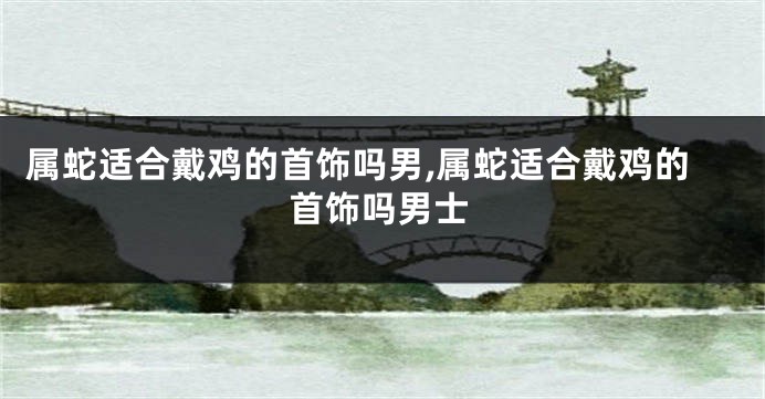 属蛇适合戴鸡的首饰吗男,属蛇适合戴鸡的首饰吗男士