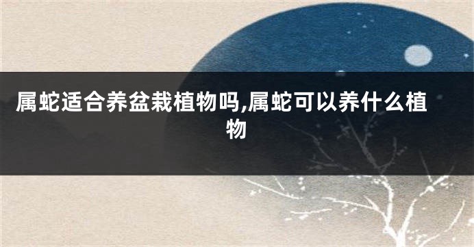 属蛇适合养盆栽植物吗,属蛇可以养什么植物