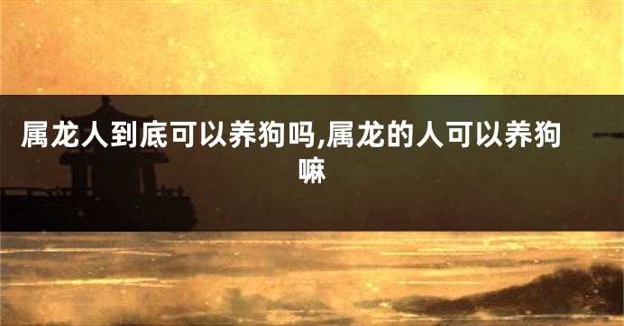 属龙人到底可以养狗吗,属龙的人可以养狗嘛