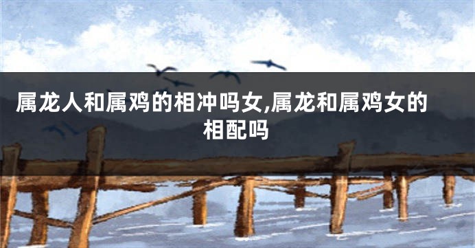 属龙人和属鸡的相冲吗女,属龙和属鸡女的相配吗