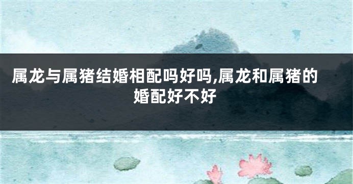 属龙与属猪结婚相配吗好吗,属龙和属猪的婚配好不好