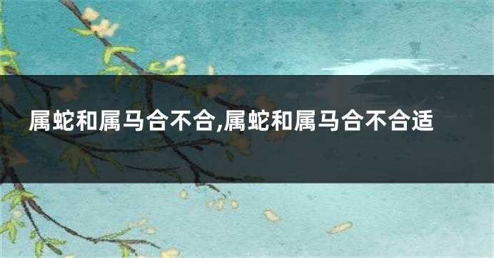 属蛇和属马合不合,属蛇和属马合不合适