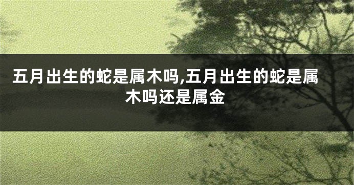 五月出生的蛇是属木吗,五月出生的蛇是属木吗还是属金