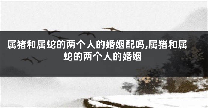 属猪和属蛇的两个人的婚姻配吗,属猪和属蛇的两个人的婚姻