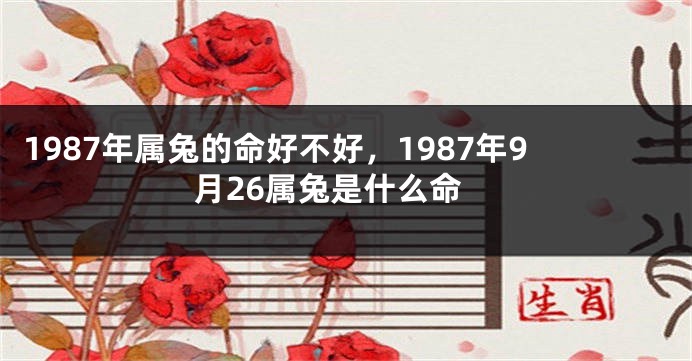 1987年属兔的命好不好，1987年9月26属兔是什么命