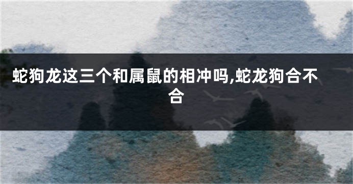 蛇狗龙这三个和属鼠的相冲吗,蛇龙狗合不合