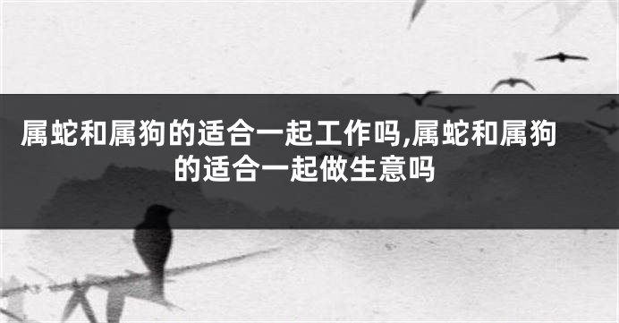 属蛇和属狗的适合一起工作吗,属蛇和属狗的适合一起做生意吗