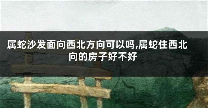 属蛇沙发面向西北方向可以吗,属蛇住西北向的房子好不好