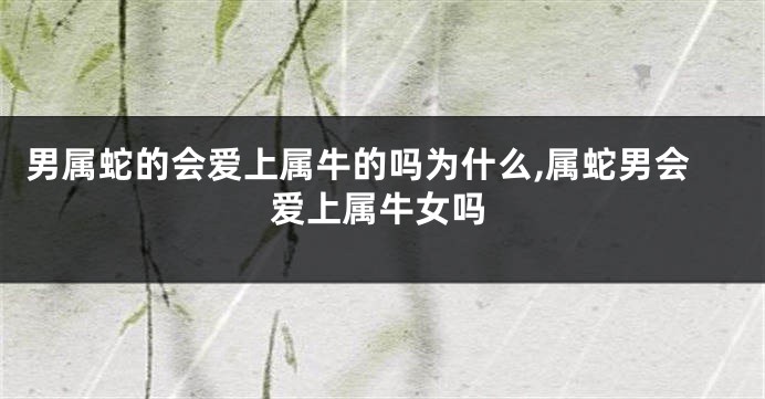 男属蛇的会爱上属牛的吗为什么,属蛇男会爱上属牛女吗