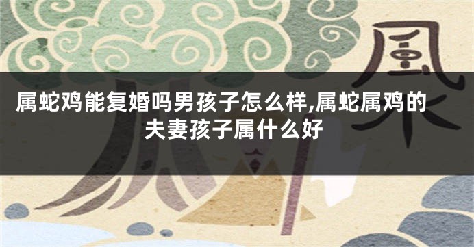 属蛇鸡能复婚吗男孩子怎么样,属蛇属鸡的夫妻孩子属什么好