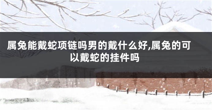 属兔能戴蛇项链吗男的戴什么好,属兔的可以戴蛇的挂件吗