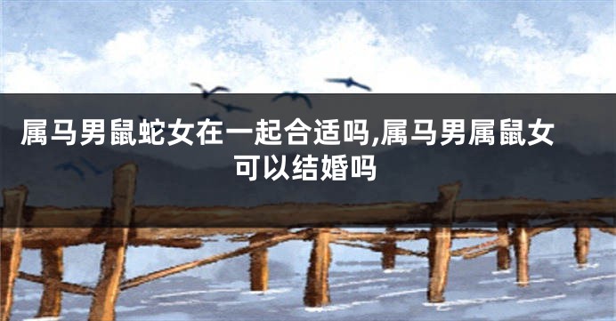 属马男鼠蛇女在一起合适吗,属马男属鼠女可以结婚吗