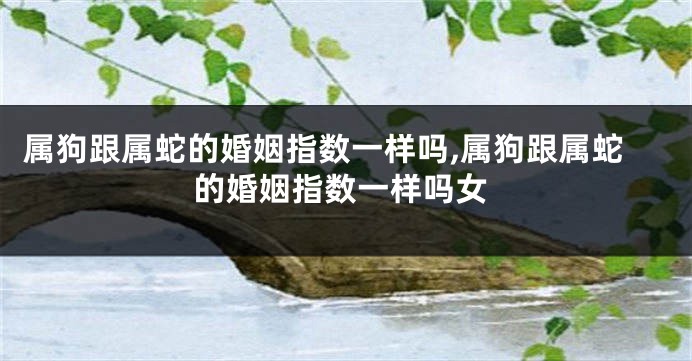 属狗跟属蛇的婚姻指数一样吗,属狗跟属蛇的婚姻指数一样吗女