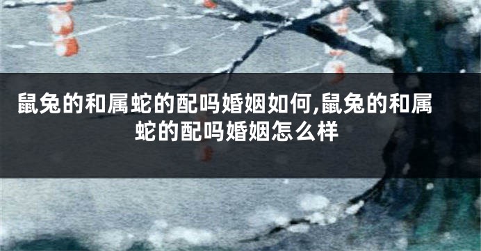 鼠兔的和属蛇的配吗婚姻如何,鼠兔的和属蛇的配吗婚姻怎么样