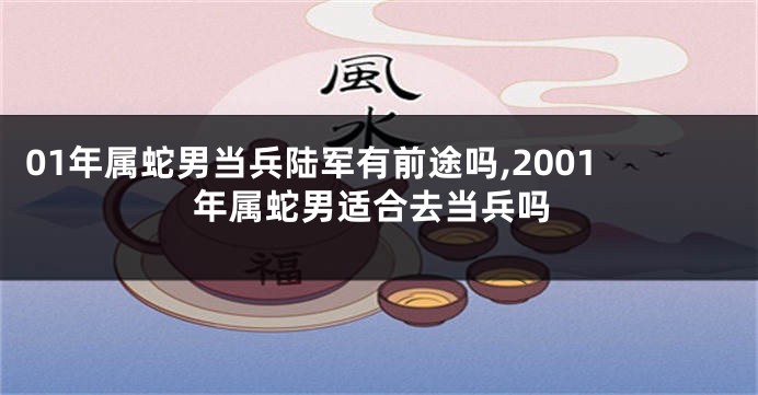 01年属蛇男当兵陆军有前途吗,2001年属蛇男适合去当兵吗