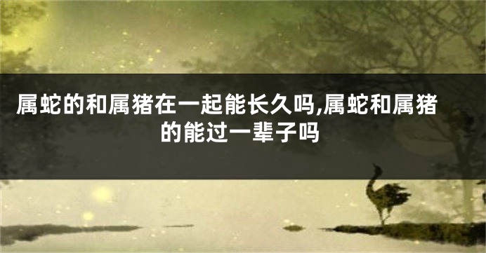 属蛇的和属猪在一起能长久吗,属蛇和属猪的能过一辈子吗