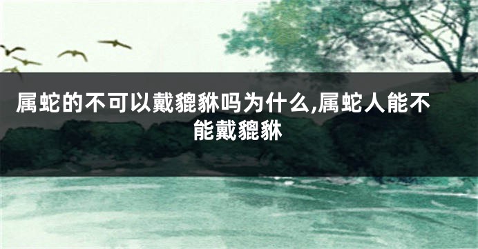 属蛇的不可以戴貔貅吗为什么,属蛇人能不能戴貔貅