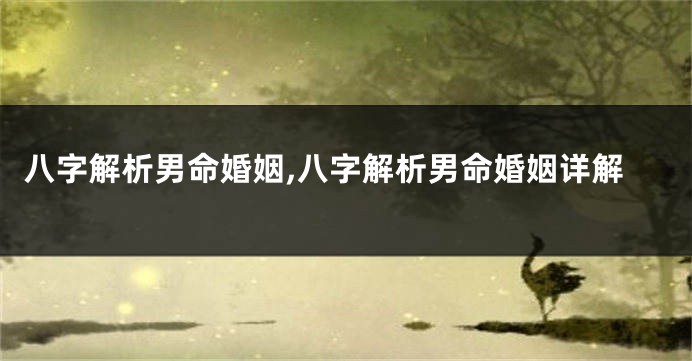 八字解析男命婚姻,八字解析男命婚姻详解