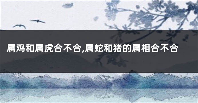 属鸡和属虎合不合,属蛇和猪的属相合不合