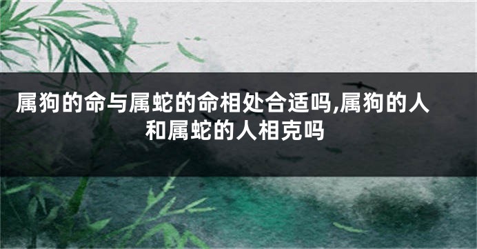 属狗的命与属蛇的命相处合适吗,属狗的人和属蛇的人相克吗