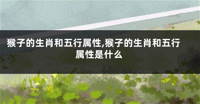 猴子的生肖和五行属性,猴子的生肖和五行属性是什么
