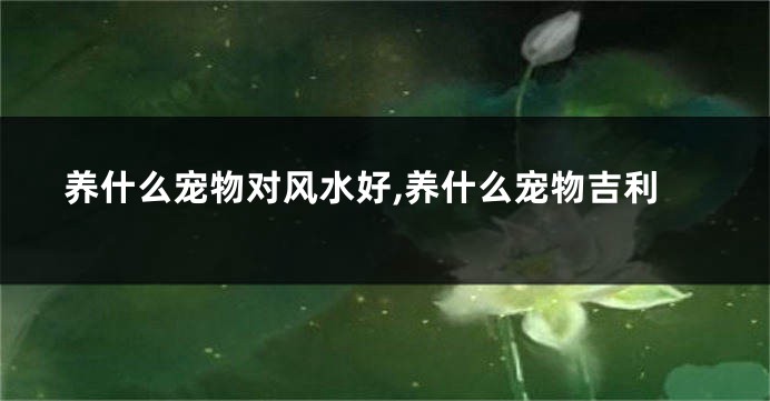 养什么宠物对风水好,养什么宠物吉利