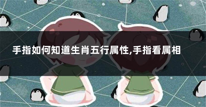 手指如何知道生肖五行属性,手指看属相