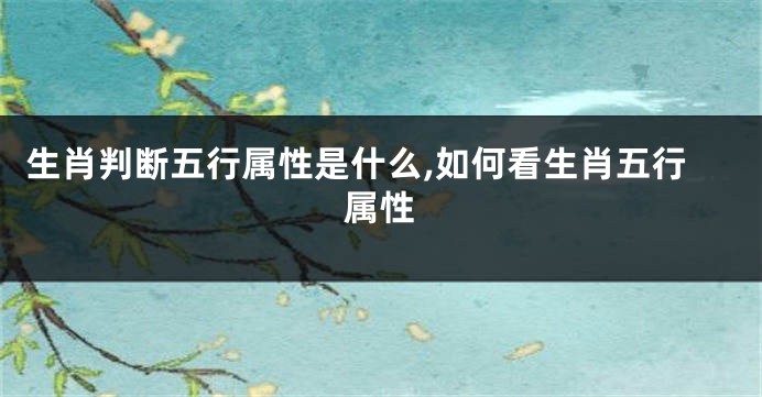 生肖判断五行属性是什么,如何看生肖五行属性