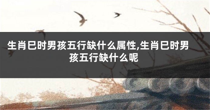 生肖巳时男孩五行缺什么属性,生肖巳时男孩五行缺什么呢