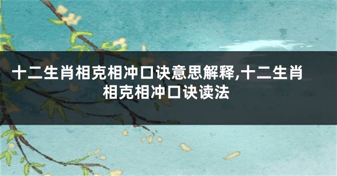 十二生肖相克相冲口诀意思解释,十二生肖相克相冲口诀读法