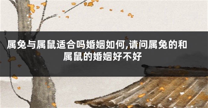 属兔与属鼠适合吗婚姻如何,请问属兔的和属鼠的婚姻好不好