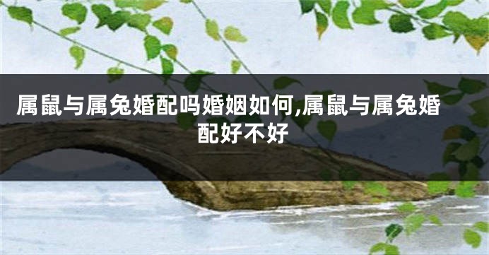 属鼠与属兔婚配吗婚姻如何,属鼠与属兔婚配好不好
