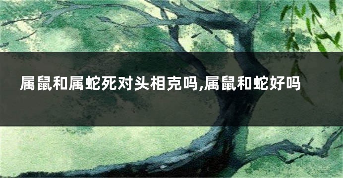 属鼠和属蛇死对头相克吗,属鼠和蛇好吗