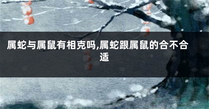 属蛇与属鼠有相克吗,属蛇跟属鼠的合不合适