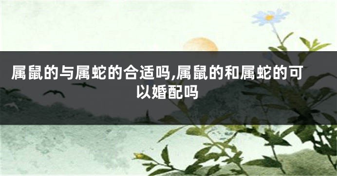 属鼠的与属蛇的合适吗,属鼠的和属蛇的可以婚配吗