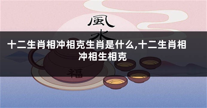 十二生肖相冲相克生肖是什么,十二生肖相冲相生相克