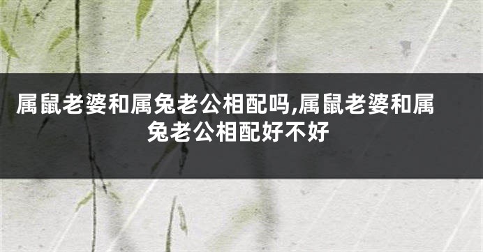 属鼠老婆和属兔老公相配吗,属鼠老婆和属兔老公相配好不好
