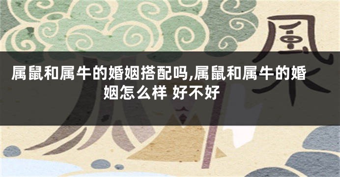 属鼠和属牛的婚姻搭配吗,属鼠和属牛的婚姻怎么样 好不好