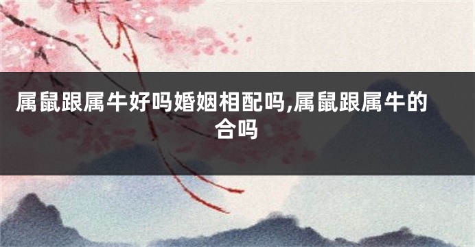 属鼠跟属牛好吗婚姻相配吗,属鼠跟属牛的合吗